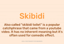 Skibidi Meaning