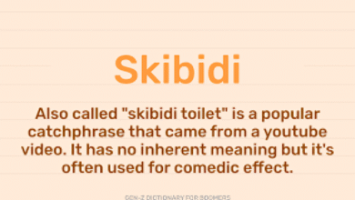 Skibidi Meaning
